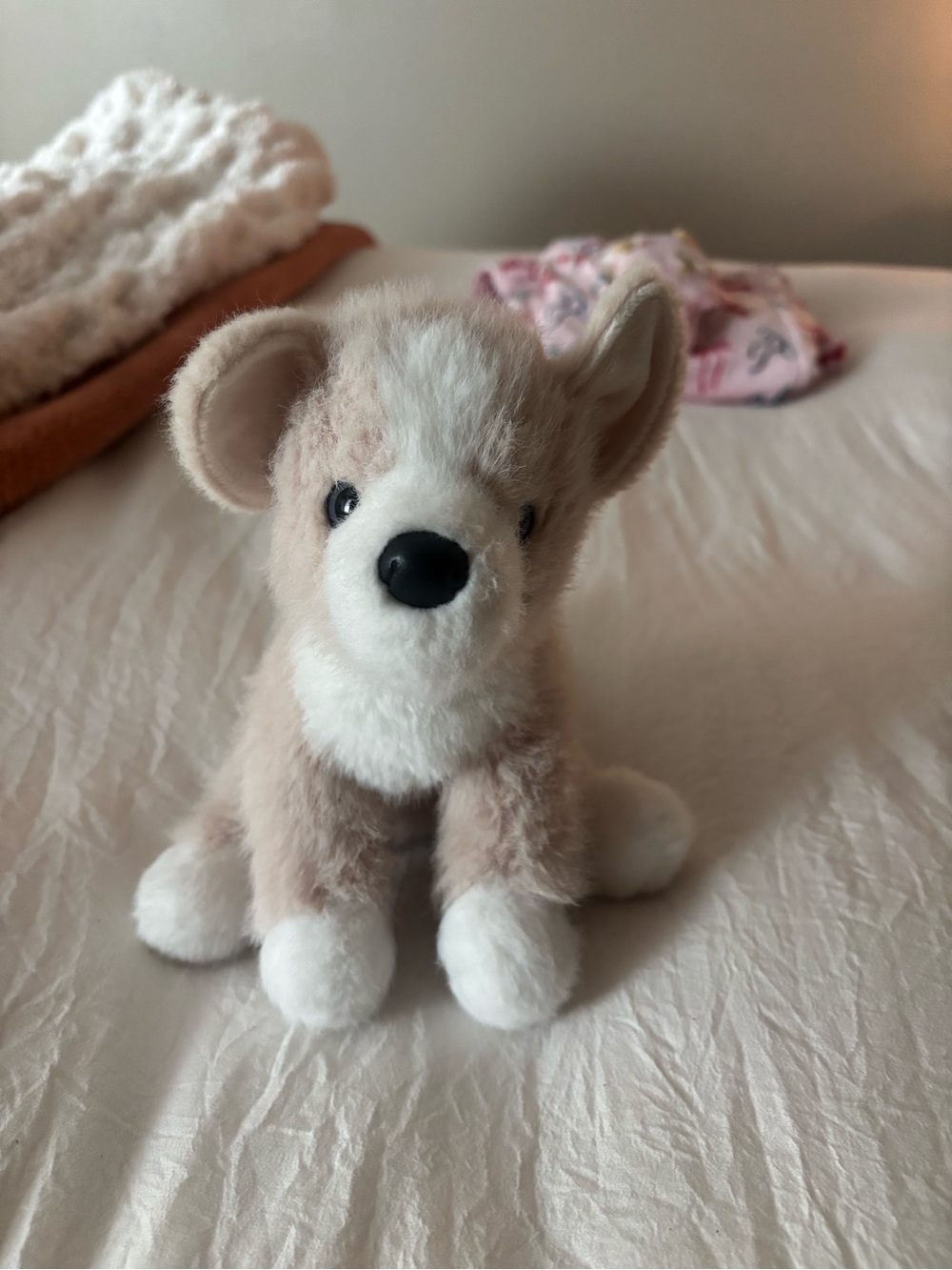 Plush Dog Toy - Cream and White Soft Puppy for Dogs